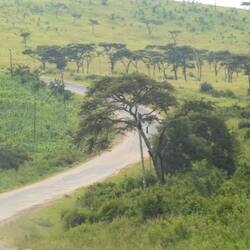 Die große Straße, die wir immer nach Kasese nehmen.