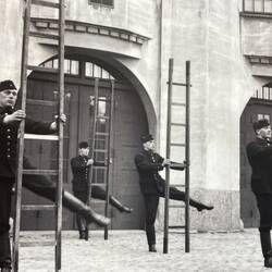 Getting to know their ladders