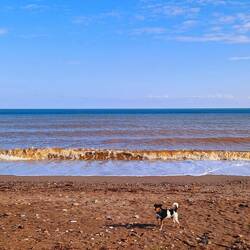 Wasser ist immer noch schiettig!