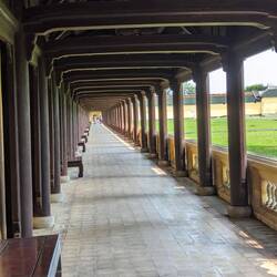 Inside the Purple Forbidden City