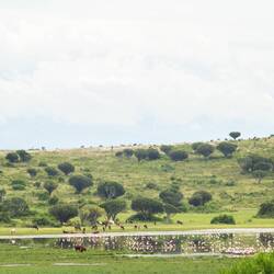 Einer der Kraterseen ist übersät mit vielen Flamingos.
