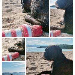 Perfektes Geburtstagsgeschenk