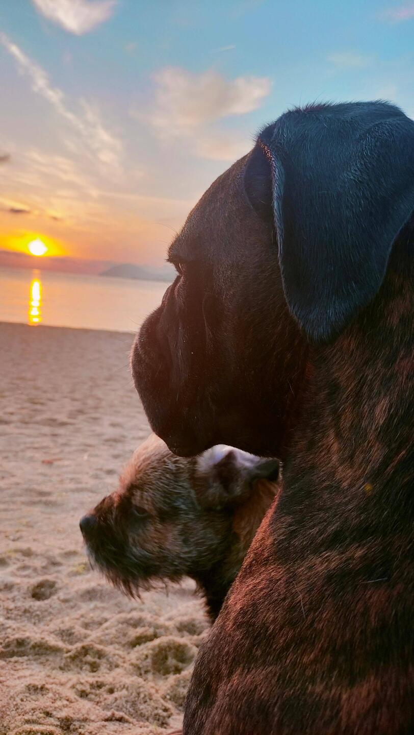 Der Wecker hat sich gelohnt