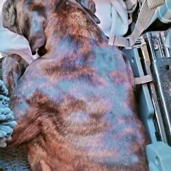 Unruhige Nacht auf dem Dampfer 🛳️