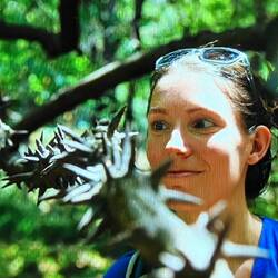 Man muss nicht nur schauen wo man hintritt (Schlangen), sondern auch wo man dagegen laufen könnte.