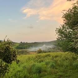 Wenn Afrikaner grillen machen sie keine halben Sachen (war sogar im Krüger erlaubt😳)