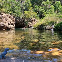 Badespaß bis uns jemand eines besseren belehrte