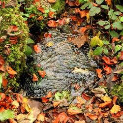 Die Quelle des Wasserfalls