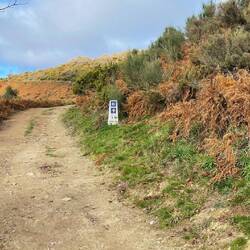 Wenn es nur so wäre 😅