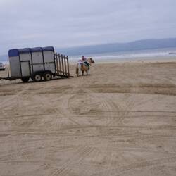 Z Pony nint me natürli gad mit a Strand