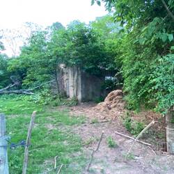 Das Land meiner Vorfahren