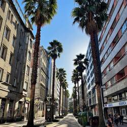 Beautiful Pontevedra