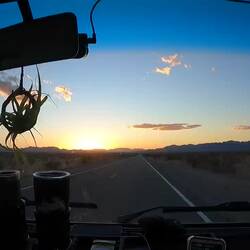 Immer der Sonne hinterher