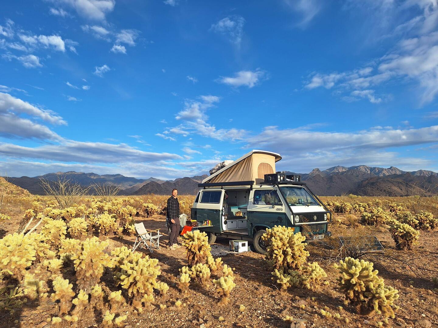 Campspot zwischen Kakteen