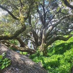 ... und lassen ein wenig Herr der Ringe-Gefühle aufkommen