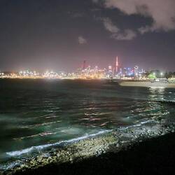 Auckland bei Nacht, mit dem zweithöchsten Gebäude der Südhalbkugel (Skytower, 328m)