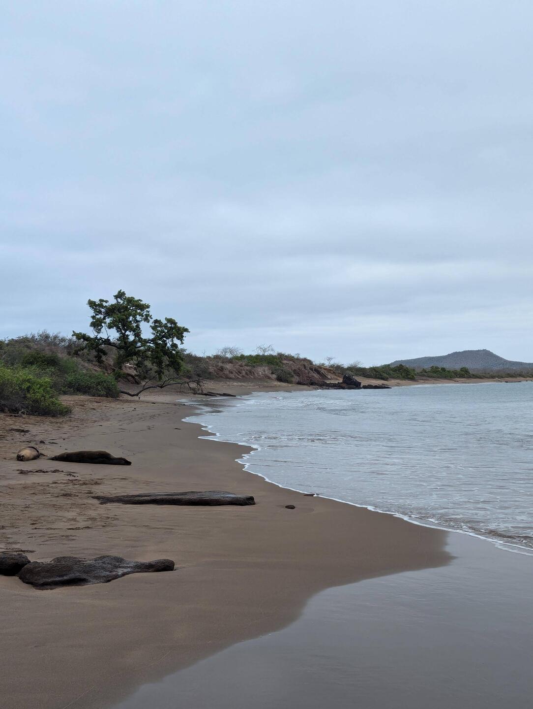 Volcanic sand beach on Floreana Island