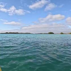 Turtles popping up for air