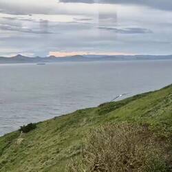 Fliegender Albatross - Spannweite ca. 3m