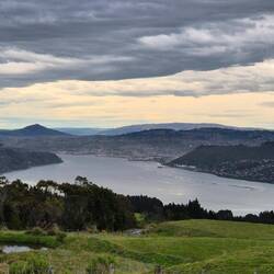Dunedin von oben