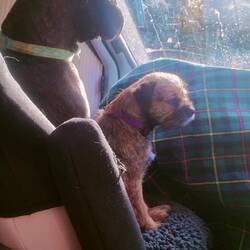 Langweilig - dachte wir können spielen