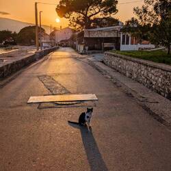 Wo man nie alleine ist