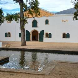 Groot Constantia