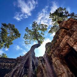 Ta prohm