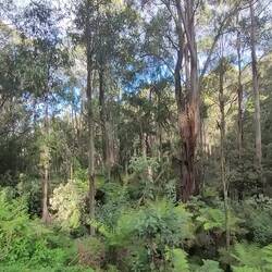 A short drive around Olinda before dinner where we found a rock to sit upon with this view