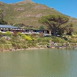 Cape Point Vinery