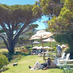 Cape Point Vinery