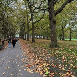 Green Park. Direkt am Buckingham Palace