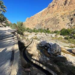 Bewässerungssystem à la Wallis