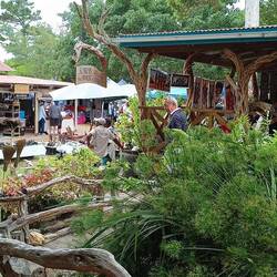 Sedgefield Craft market