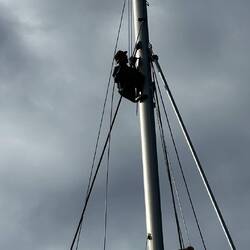 das Rigg wurde nach 10 Jahren erneuert