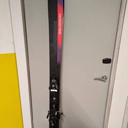 Mein Begleiter, diesen Winter