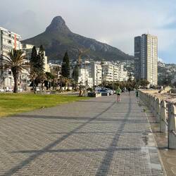 Lionshead