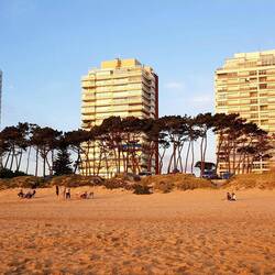 Beach with fine sand.