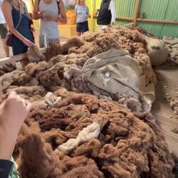 Zwischenstopp unserer Walking Tour