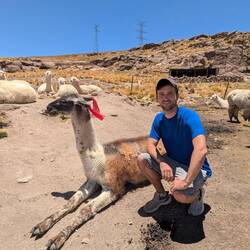 Beeindruckende Beine