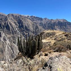 Wir hätten nicht gedacht, dass die Natur in Peru so aussehen wird