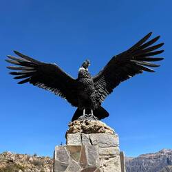 Dann fahren wir zu einem Aussichtspunkt an dem es Kondore geben soll