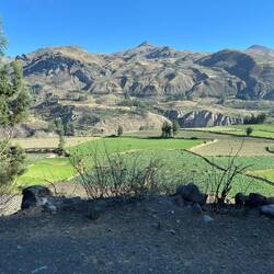 Wir fahren weiter den Canyon entlang