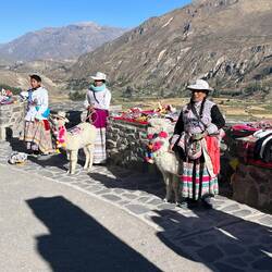 Andere Länder, andere Sitten