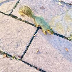 this guy came at me with fury in his eyes