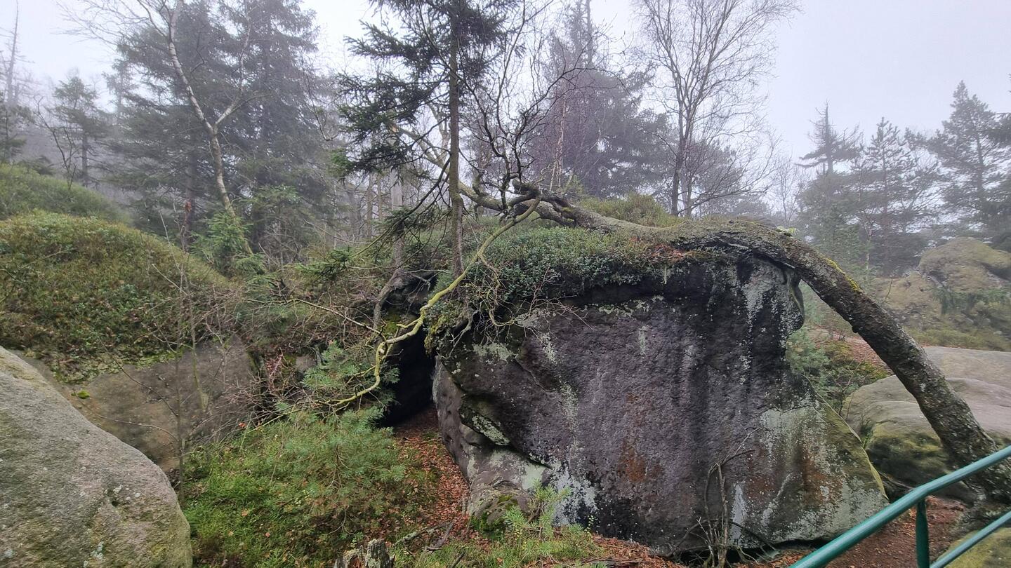 Der Gipfel des Heuscheuer ist stark zerklüftet...