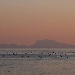 L'île de Capri depuis Naples