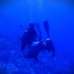 Die Bilder vom Guide