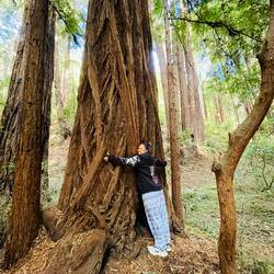 Einen Baum umarmen, dann ist die Welt wieder in Ordnung!💚