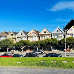 Die "Painted Ladies"